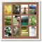 ArtToFrames Collage Photo Picture Frame with 12 - 5x7 inch Openings, Framed in White with Over 62 Mat Color Options and Plexi Glass (CSM-3966-229)